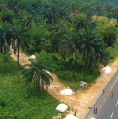 Land, Aku Palace Estate, Ngor Okpala, Imo, Residential Land for Sale