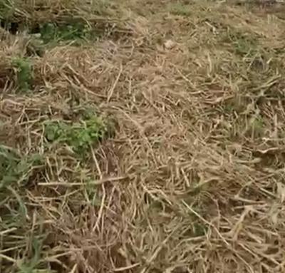 a Standard Very Massive Land, Wasa, Apo, Abuja, Mixed-use Land for Sale