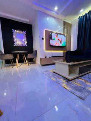 Very Exotic Miniflat Available, Ikate, Lekki, Lagos, Mini Flat (room and Parlour) for Rent