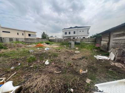 1050sqm Fenced, Gated and Naturally Dry Land, Ikoyi, Lagos, Mixed-use Land for Sale