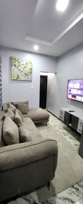 Newly Built 1 Bedroom Apartment, Ikate, Lekki, Lagos, Mini Flat (room and Parlour) Short Let