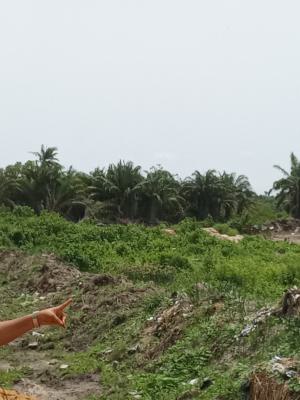 a Commercial and Residential Land, Sapphire Coastal Estate,  Along Lagos to Calabar Coastal Road, Osoroko, Ibeju Lekki, Lagos, Mixed-use Land for Sale