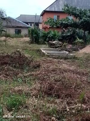 Full Plot of Land in a Developed and Residential Area, Igando, Alimosho, Lagos, Residential Land for Sale