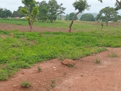 Fully Equipped Modern World Class Hospital, Functional ., 30km From Okene, Lokoja, Kogi, Commercial Property for Sale