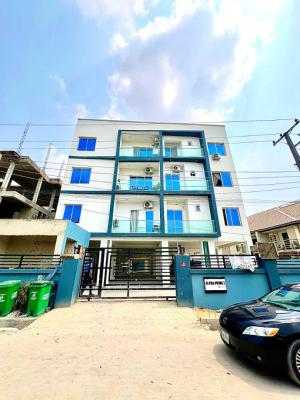 Spacious 2 Bedroom Apartment, Ikate, Lekki, Lagos, Flat / Apartment for Rent