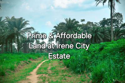 Mixed Use Land in an Estate, Irene City Estate, Omagwa, Port Harcourt, Rivers, Mixed-use Land for Sale
