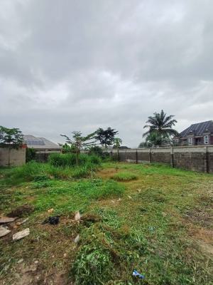 Mixed Use Land in an Estate, Irene City Estate, Omagwa, Port Harcourt, Rivers, Mixed-use Land for Sale