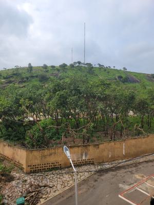 1 Hectare of Prime Urban Plot, Ait, Asokoro District, Abuja, Mixed-use Land for Sale