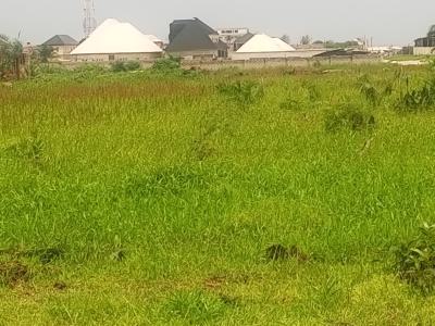 Land with C of O in-vew and Registered, Directly Facing Coastal Road, Okun-ajah, Ajah, Lagos, Residential Land for Sale