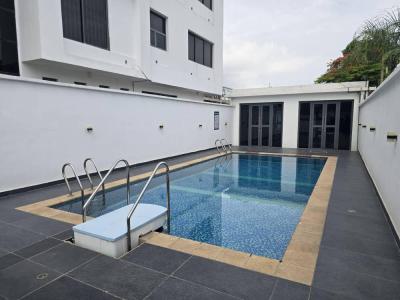 Superbly Furnished 5 Bedroom Duplex in a Good Area, Old Ikoyi, Ikoyi, Lagos, Detached Duplex for Sale