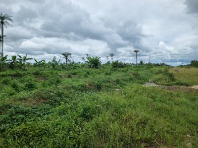 Upland Residence Prelaunch Land Asset with High Yield and Payment Plan, 9mins to Epe Toll Gate and Epe-ijebu Ode Road Tomoba Igboye, Ijebu Ode, Epe, Lagos, Land for Sale