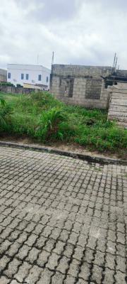 Uncompleted Duplex on 500 Sqm Plot, Royal Garden Estate, Ajah, Lagos, Detached Duplex for Sale