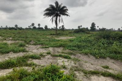 Plots and Acres of Lands, Atan Ota, Ado-odo/ota, Ogun, Land for Sale