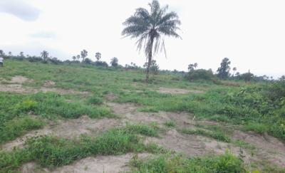 Plots and Acres of Lands, Igbodo Etche, Amala/etche Road, Ngor Okpala, Imo, Land for Sale