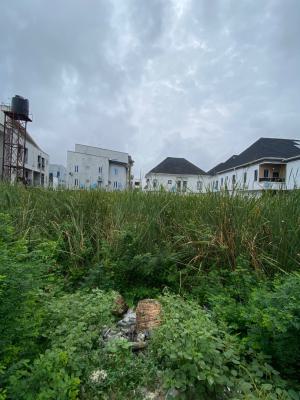 Fertile Premium Land in a Secured Choiced Eatate, Chevron, Lekki, Lagos, Land for Sale