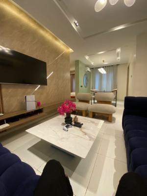 Fully Serviced and Furnished 2 Bedrooms Apartments, Ikate, Lekki, Lagos, Flat / Apartment for Rent