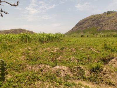 Land, Gaduwa, Abuja, Mixed-use Land for Sale