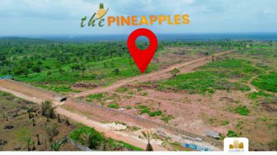 6 Plots of Farmland Plus 1 Free Plot, Pineapple Estate, Imota, Ikorodu, Lagos, Mixed-use Land for Sale