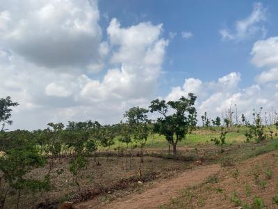 Premium Land, Diplomatic Zone Katampe Extension, Katampe Extension, Katampe, Abuja, Residential Land for Sale
