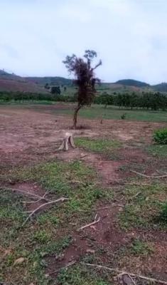 a Standard, Solid Land, Maitama District, Abuja, Residential Land for Sale