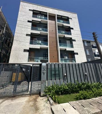 Furnished 2 Bedroom Apartments, Ikate, Lekki, Lagos, Flat / Apartment for Rent