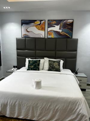 Stunning Studio Apartment, Opebi, Ikeja, Lagos, Self Contain (single Rooms) Short Let