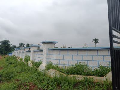 Most Affordable Land You Can See Now, Asaba, Delta, Residential Land for Sale