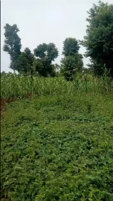 Residential Land at Apo Wasa, Wasa, Apo, Abuja, Land for Sale