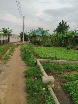 Land Suitable for Rice Farming, Eredo, Yewa South, Ogun, Land for Sale