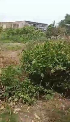 a Standard, Sharp, Prime Land, Off Ademola Adetokunbo Crescent, Wuse 2, Abuja, Commercial Land for Sale