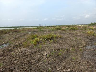 Water Front 500SQM Land C of O — Ajah, Lagos