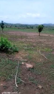 Massive Hectares of Land, Guzape 2, Guzape District, Abuja, Mixed-use Land for Sale