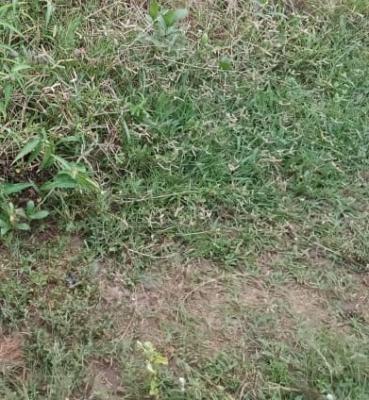 Land Measuring 850sqm, Ikeja Gra, Ikeja, Lagos, Residential Land for Sale