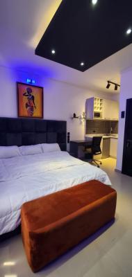 1 Bedroom Apartment, Victoria Island (vi), Lagos, Self Contain (single Rooms) Short Let