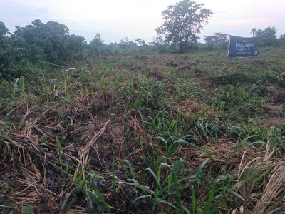600sqm Dry Plot in Ido Ibadan, Harmony Hills, Ido, Oyo, Land for Sale