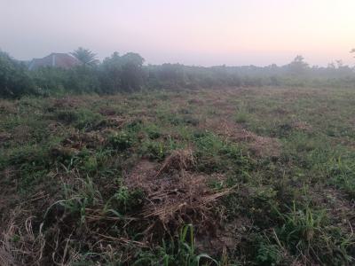 Affordable Prime Dry Land Deals in a Gated Estate, Harmony Hills, Ido, Ibbadan, Ido, Oyo, Land for Sale