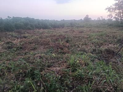 500sqm, Gated Estate Plots in Ido Ibadan, Harmony Hills Ibadan, Ido, Oyo, Land for Sale
