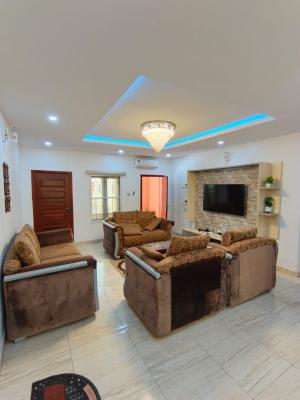 Luxuriously Furnished 2 Bedroom Apartment in a Serviced Estate, New Horizon Estate, Ikate, Lekki, Lagos, Flat / Apartment for Rent
