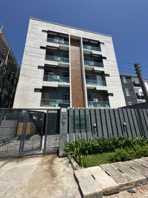Beautifully Furnished 2 Bedroom Apartment, Ikate, Lekki, Lagos, Flat / Apartment for Rent