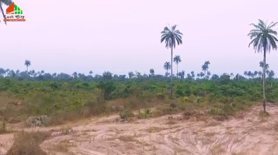 Land, Epe, Epe, Lagos, Residential Land for Sale