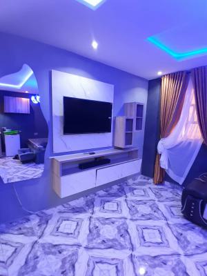 Studio Apartment, Babashola Str, Off Aborishade, Lawanson, Surulere, Lagos, Self Contain (single Rooms) Short Let
