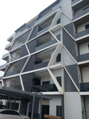 Furnished and Serviced 3 Bedrooms Flat Available, Maitama District, Abuja, Flat / Apartment for Rent