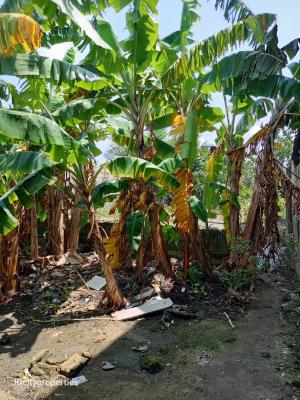 Half Plot of Land, Ogombo, Ajah, Lagos, Mixed-use Land for Sale