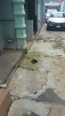 Lovely 2 Bedroom Apartment (ensuite, Ground Floor), Abule Egba, Abule Egba, Agege, Lagos, Flat / Apartment for Rent