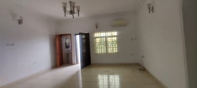 Luxury Serviced 2 Bedrooms Flat, Jabi, Abuja, Flat / Apartment for Rent