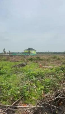 Five Plots of Land for Outright Purchase, Https://youtube.com/shorts/gi5rhq9ggxw?si=fuvo8qw20huegzg4, Abijo, Lekki, Lagos, Residential Land for Sale