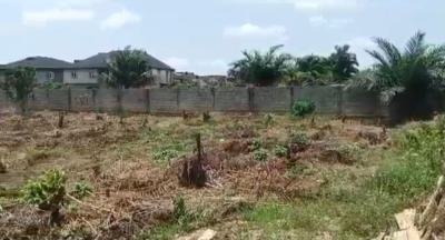 Developers Delight.. 1734sqm of Dry, Table Land, Ajayi Apata Estate, Sangotedo, Ajah, Lagos, Mixed-use Land for Sale