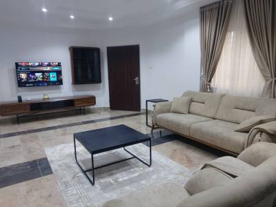 Fully Functional 3 Bedroom Apartment, Wuse2, Wuse 2, Abuja, Flat / Apartment for Rent