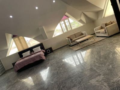 Luxury 3 Bedroom Serviced & Furnished Penthouse,rooftop,elevator,pool, Serene Neighborhood, Jabi, Abuja, Flat / Apartment for Rent