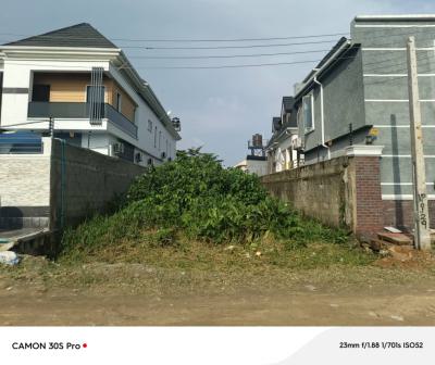 Fully Fenced Land, Canal Estate, Ago Palace, Isolo, Lagos, Residential Land for Sale